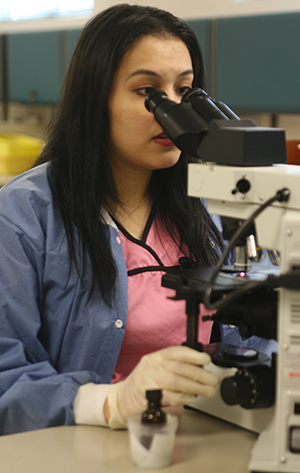 Lab Worker on Microscope